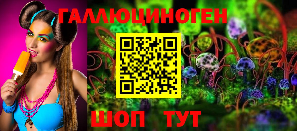 Шатура  Галлюциногенные грибы Psilocybine cubensis  Вход с VPN 
